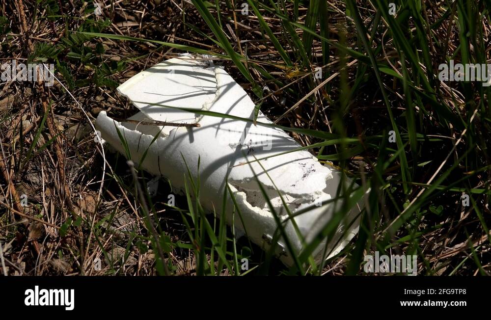 Grass litter Stock Videos & Footage HD and 4K Video Clips Alamy