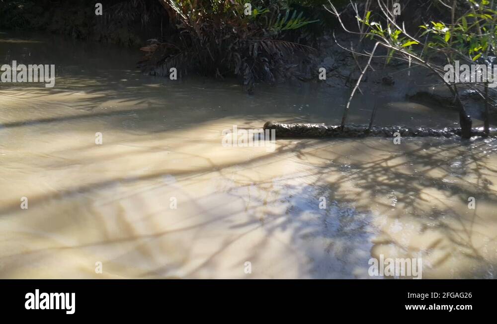 Mud river Stock Videos & Footage HD and 4K Video Clips Alamy