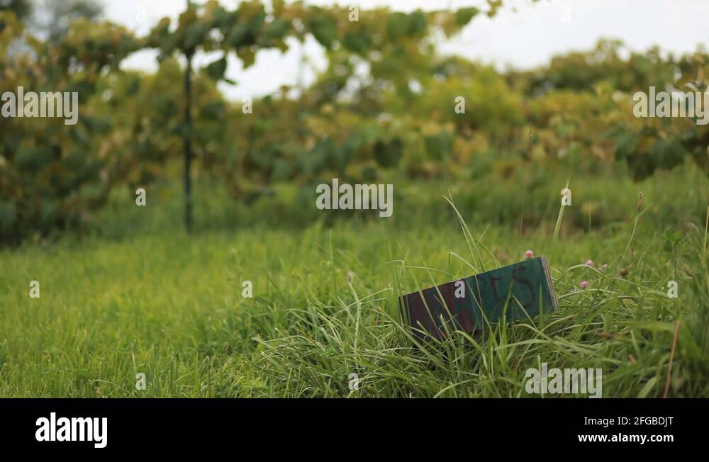 Grapes sign Stock Videos & Footage HD and 4K Video Clips Alamy