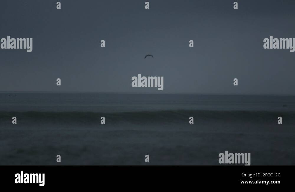 Outer Banks Romantic Ocean And Rain 002 Tracking Pelican Stock Video