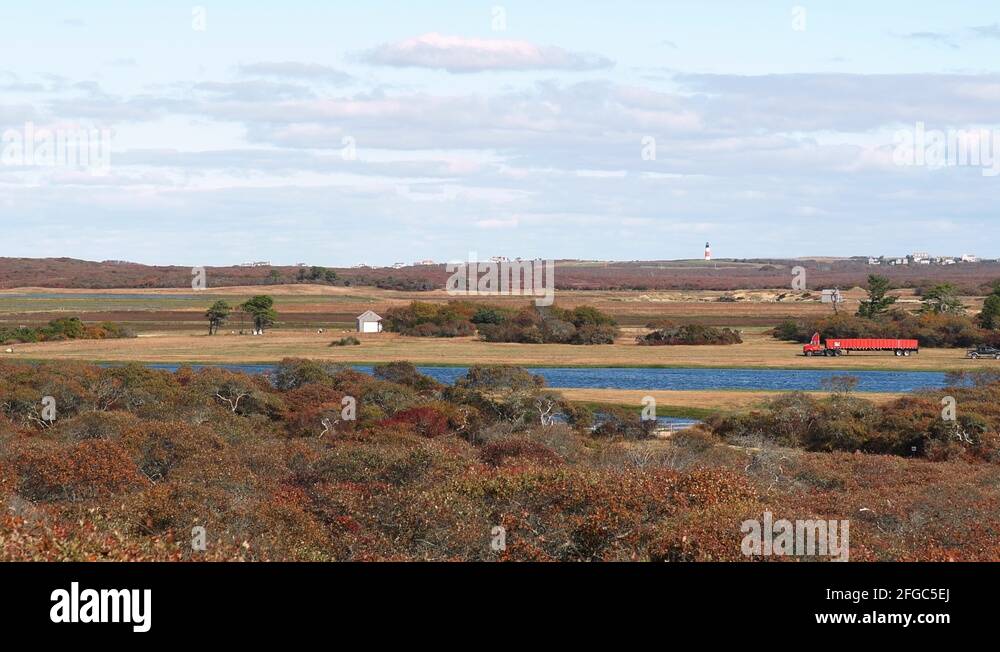 Red Semi Truck Drives Past Cranberry Bog In Moors Of Nantucket Island