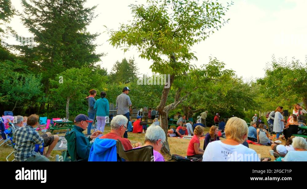 Beach house band Stock Videos & Footage HD and 4K Video Clips Alamy