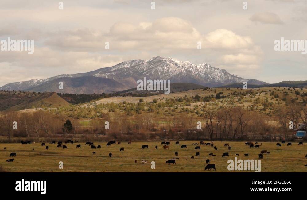 Malheur national forest Stock Videos & Footage HD and 4K Video Clips