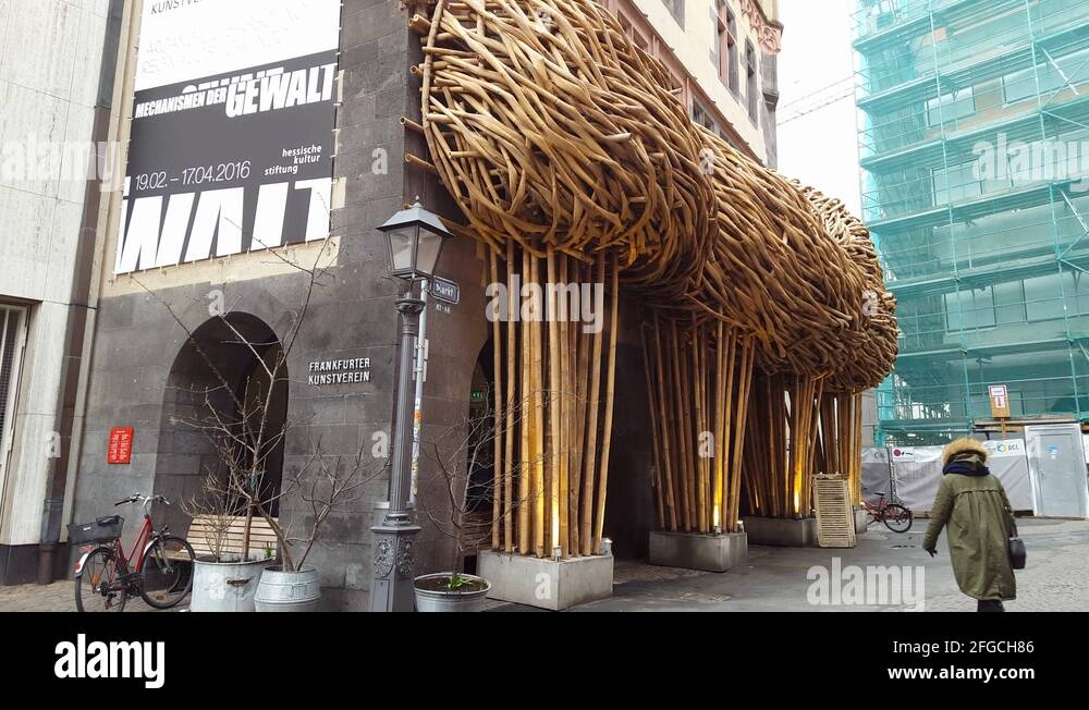 Bamboo gallery Stock Videos & Footage HD and 4K Video Clips Alamy