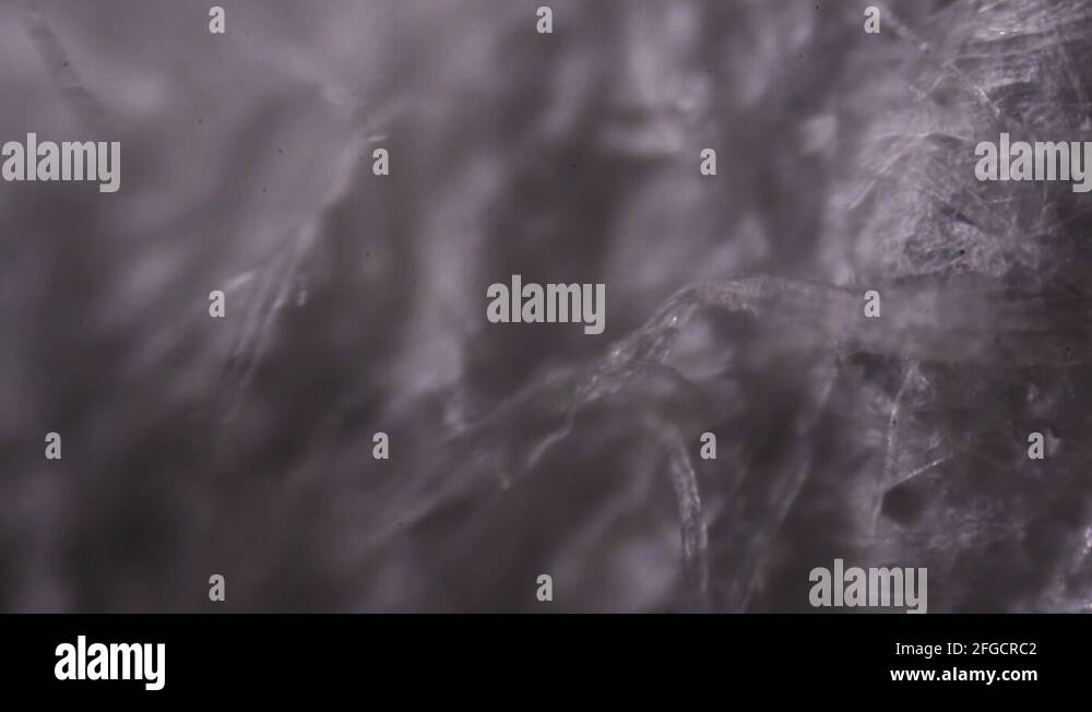 Micrograph paper Stock Videos & Footage HD and 4K Video Clips Alamy