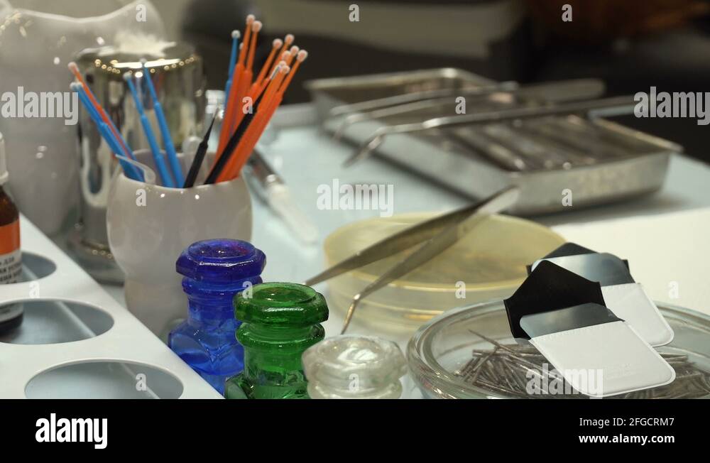 Orthodontic apparatus Stock Videos & Footage HD and 4K Video Clips