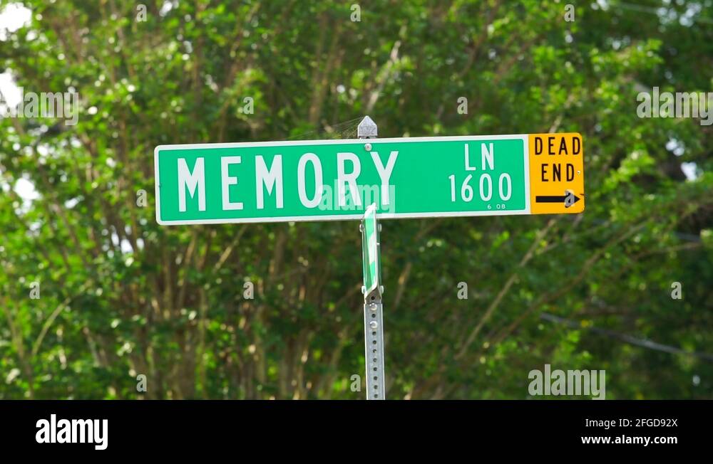 Memory lane road sign Stock Videos & Footage - HD and 4K Video Clips ...