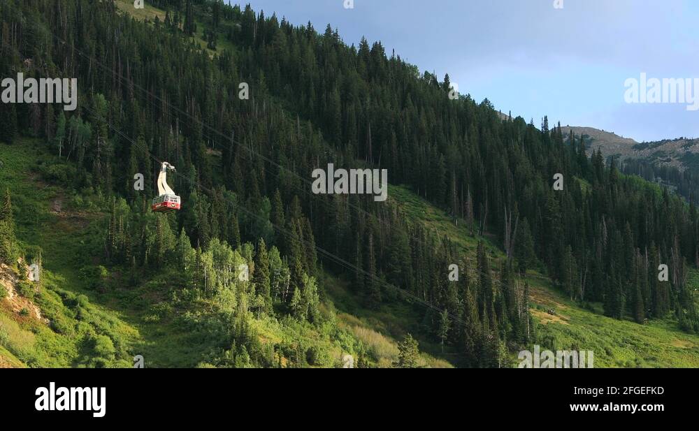 Aspen Summer Activities Aspen Summer Activities