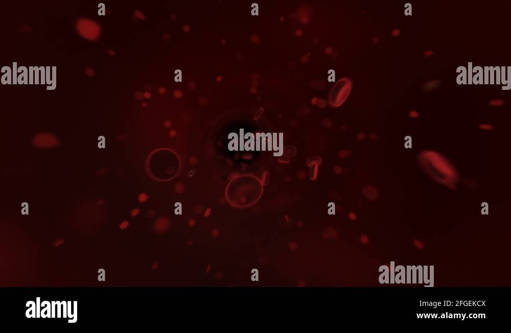 Streaming red blood cells Stock Videos & Footage - HD and 4K Video ...
