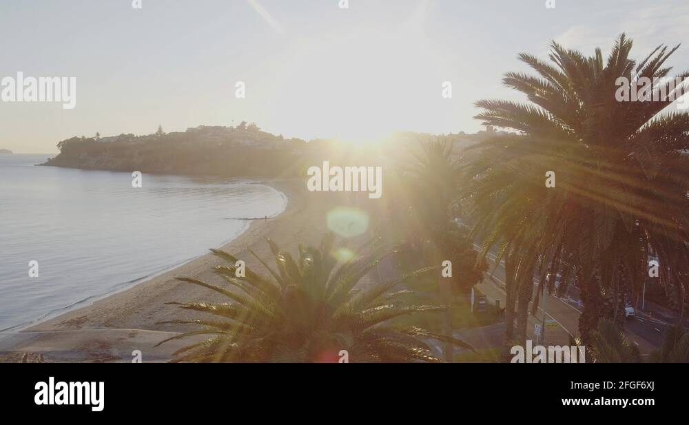 Extinct trees Stock Videos & Footage HD and 4K Video Clips Alamy