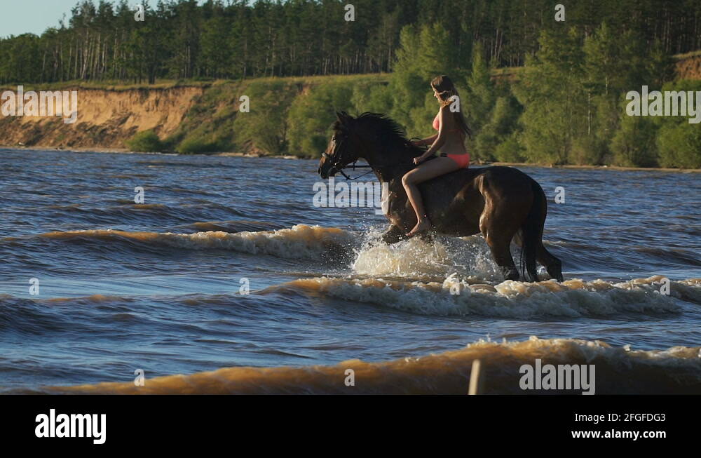 A young beautiful blonde woman in bikini in the sea riding a brown ...