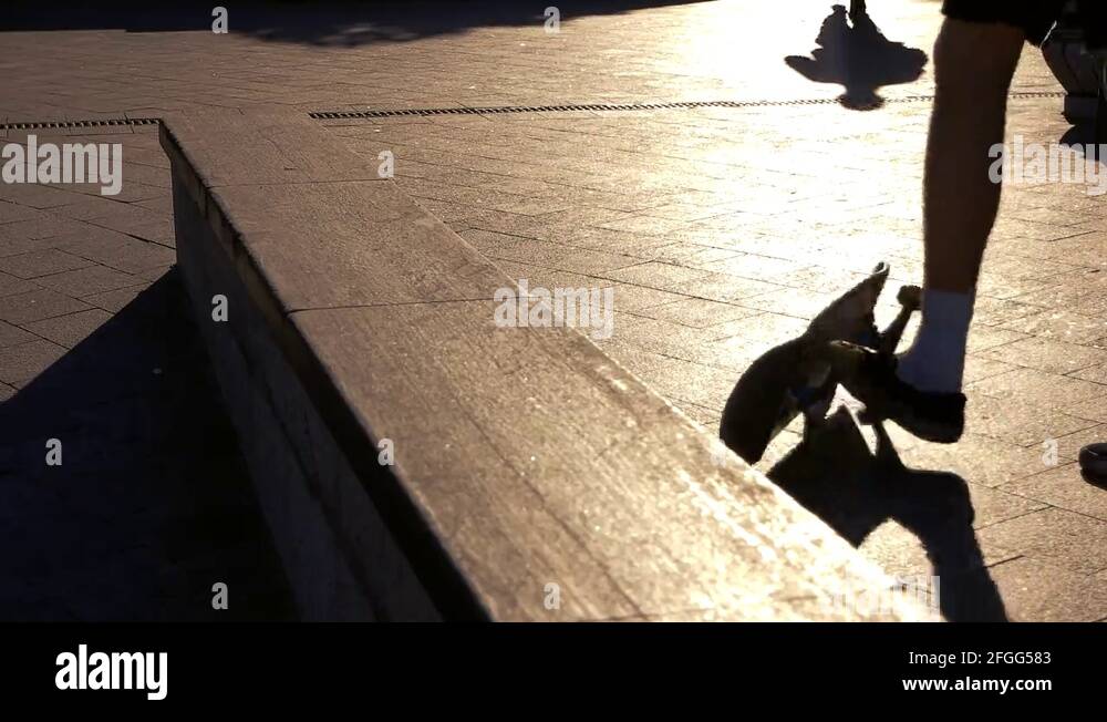 Skateboard on pavement Stock Videos & Footage HD and 4K Video Clips