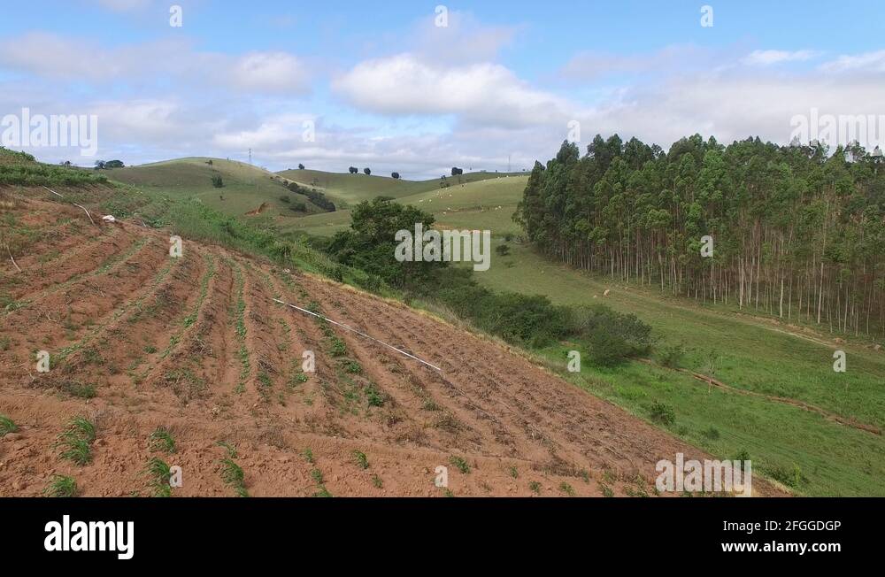 Brazil farm land Stock Videos & Footage HD and 4K Video Clips Alamy