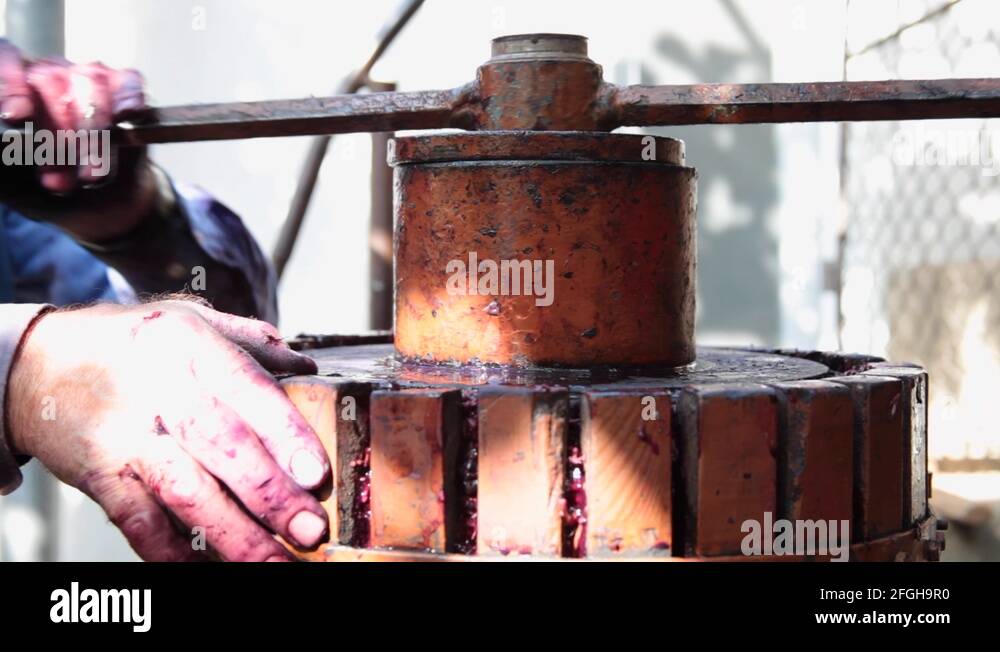 Here at a wine press Stock Videos & Footage HD and 4K Video Clips Alamy