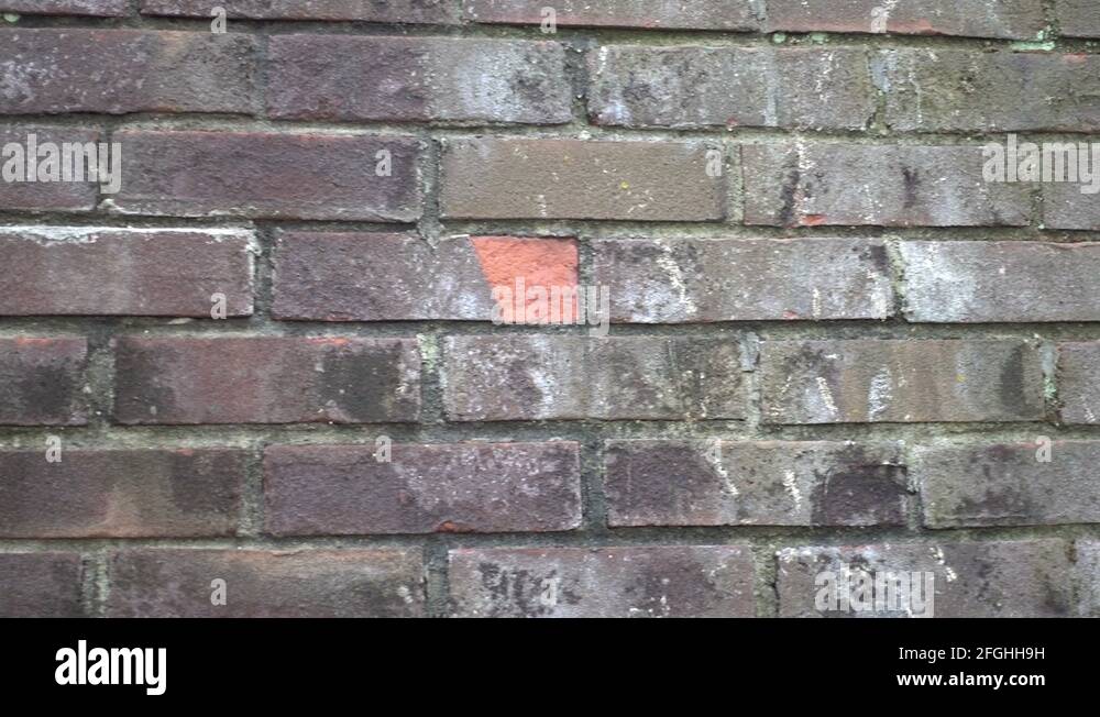 Aging brick wall Stock Videos & Footage HD and 4K Video Clips Alamy