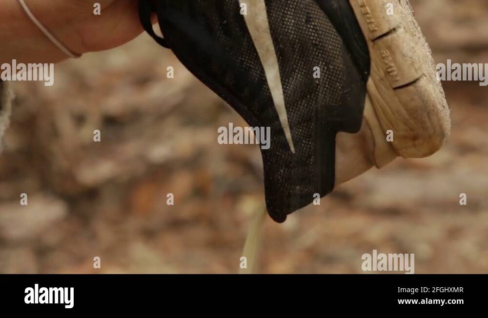 Sand Shoe Stock Videos Footage HD And 4K Video Clips Alamy sand-shoe-stock-videos-footage-hd-and-4k-video-clips-alamy