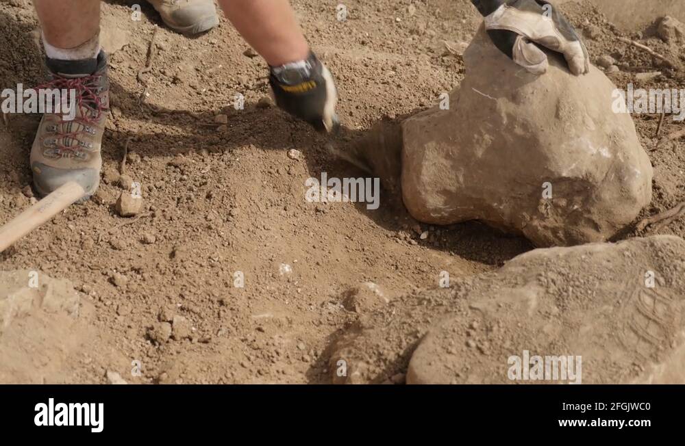 Archaeology excavation shovel Stock Videos & Footage HD and 4K Video