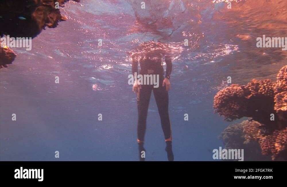 Underwater model free diver poses for the camera in clean blue water in