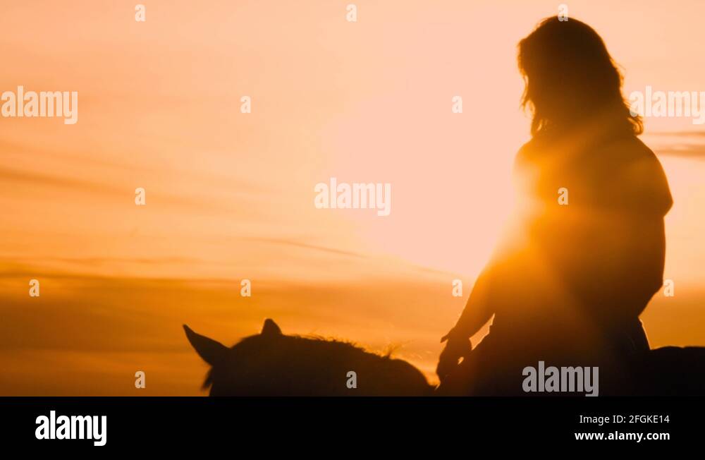 Slow motion equestrian woman riding a horse silhouette at Golden Hour ...