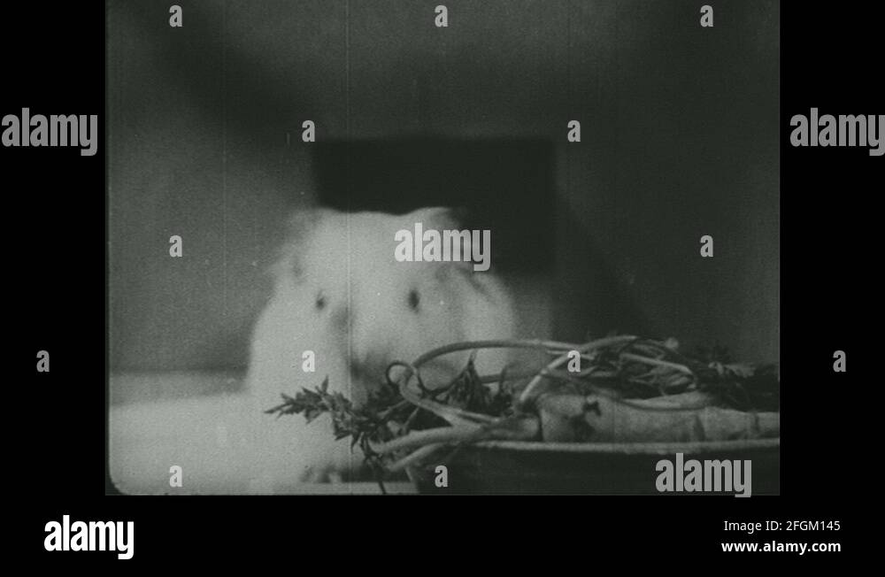 Carrots with leaves Stock Videos & Footage HD and 4K Video Clips Alamy