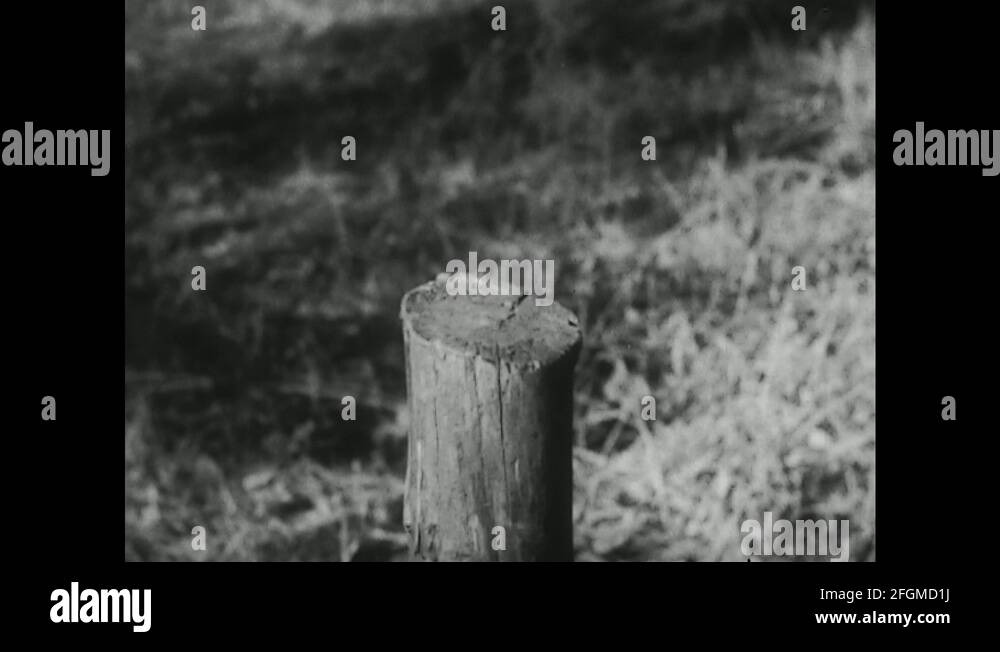 UNITED STATES 1930s Hammer hits piece of wood / Wood drives into