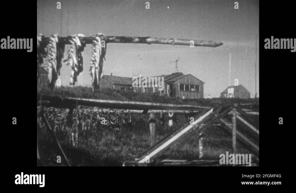 Dried fish woman Stock Videos & Footage HD and 4K Video Clips Alamy