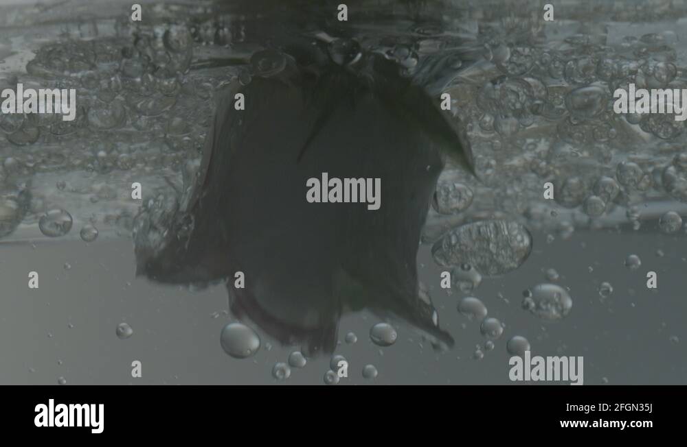 Water symbolism Stock Videos & Footage HD and 4K Video Clips Alamy