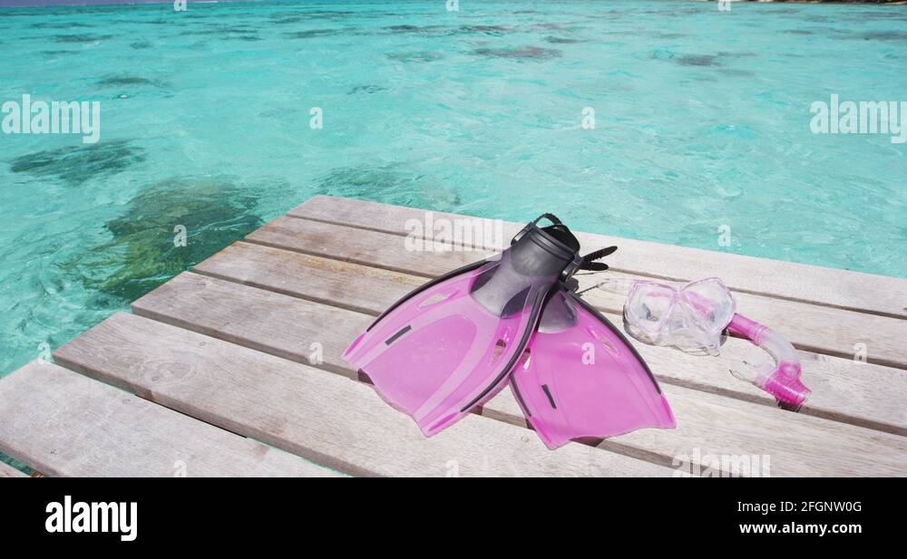 Snorkel and flippers Stock Videos & Footage HD and 4K Video Clips Alamy