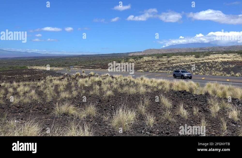 Kaahumanu queen hawaii Stock Videos & Footage HD and 4K Video Clips