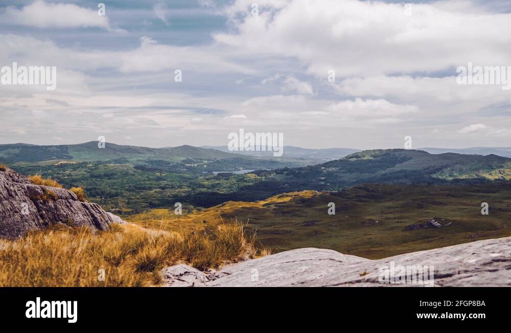Glengarriff Woods Nature Reserve, Kerry, Ireland Stock Video Footage