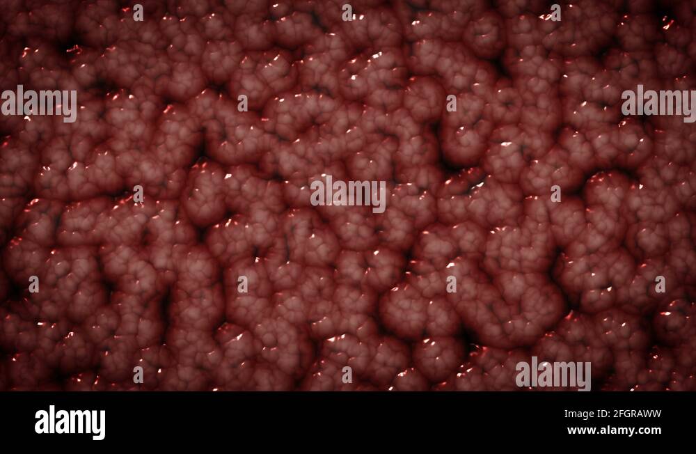 Cells moving graphic pulsing flesh, horror style motion background loop ...