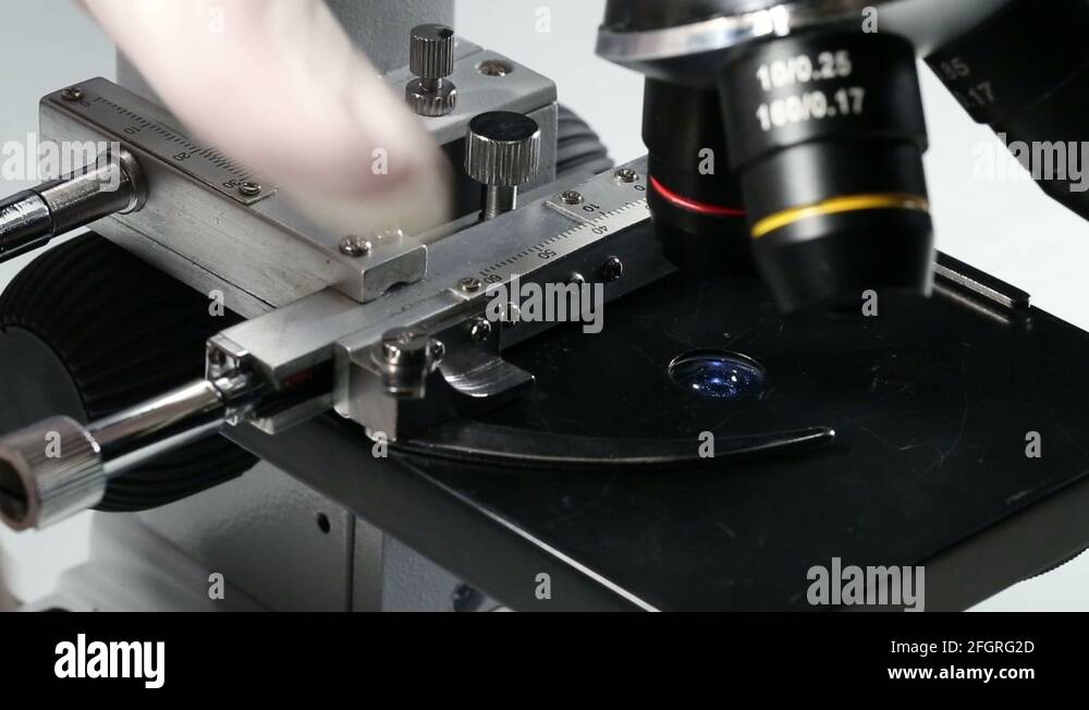 Placing on microscope Stock Videos & Footage HD and 4K Video Clips