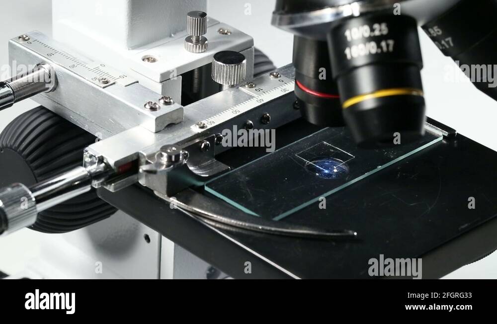 Microscope holder Stock Videos & Footage HD and 4K Video Clips Alamy