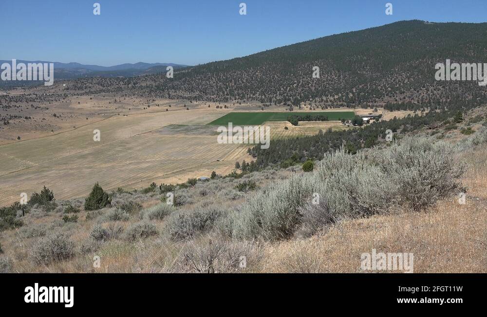 Sagebrush ecosystem Stock Videos & Footage HD and 4K Video Clips Alamy
