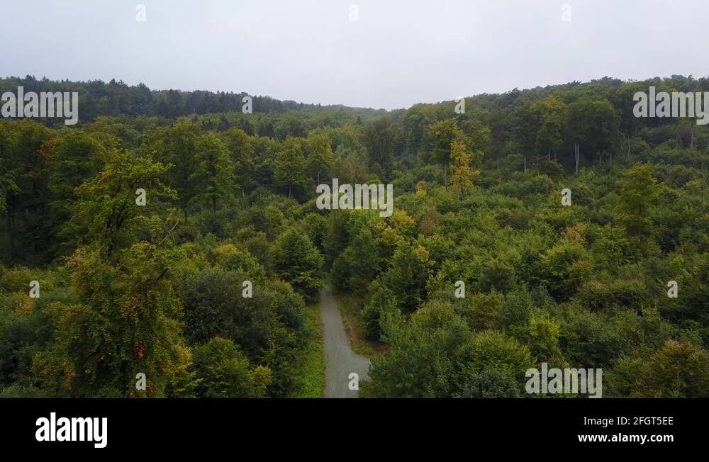 Grey pathway Stock Videos & Footage - HD and 4K Video Clips - Alamy