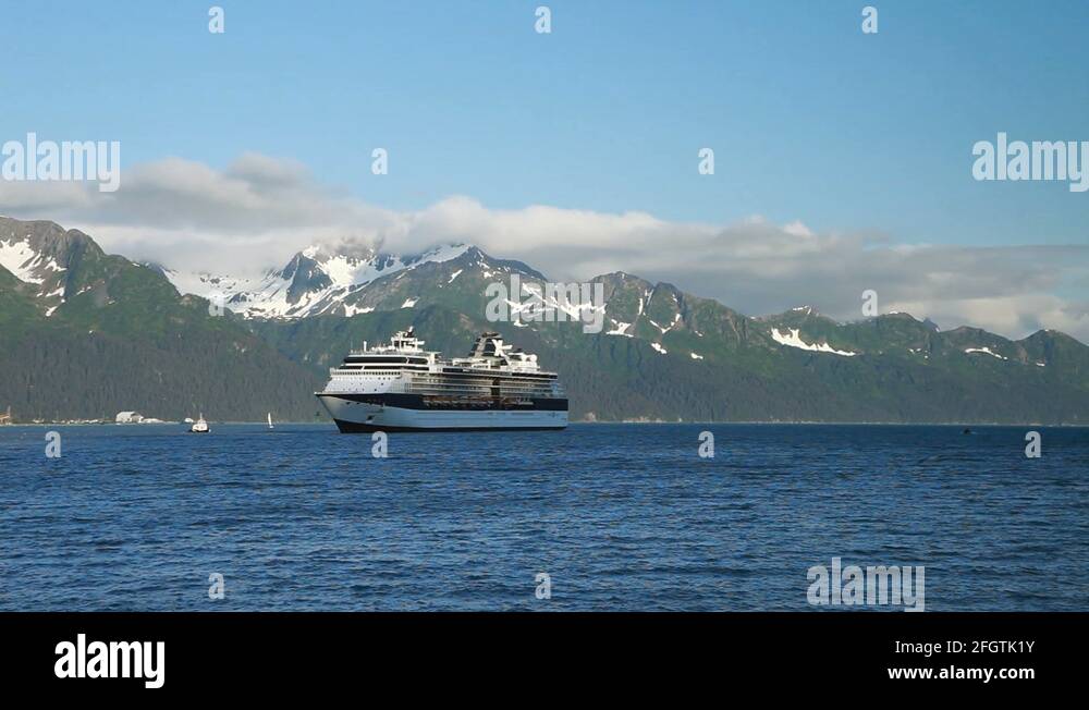 Alaska birds Stock Videos & Footage HD and 4K Video Clips Alamy