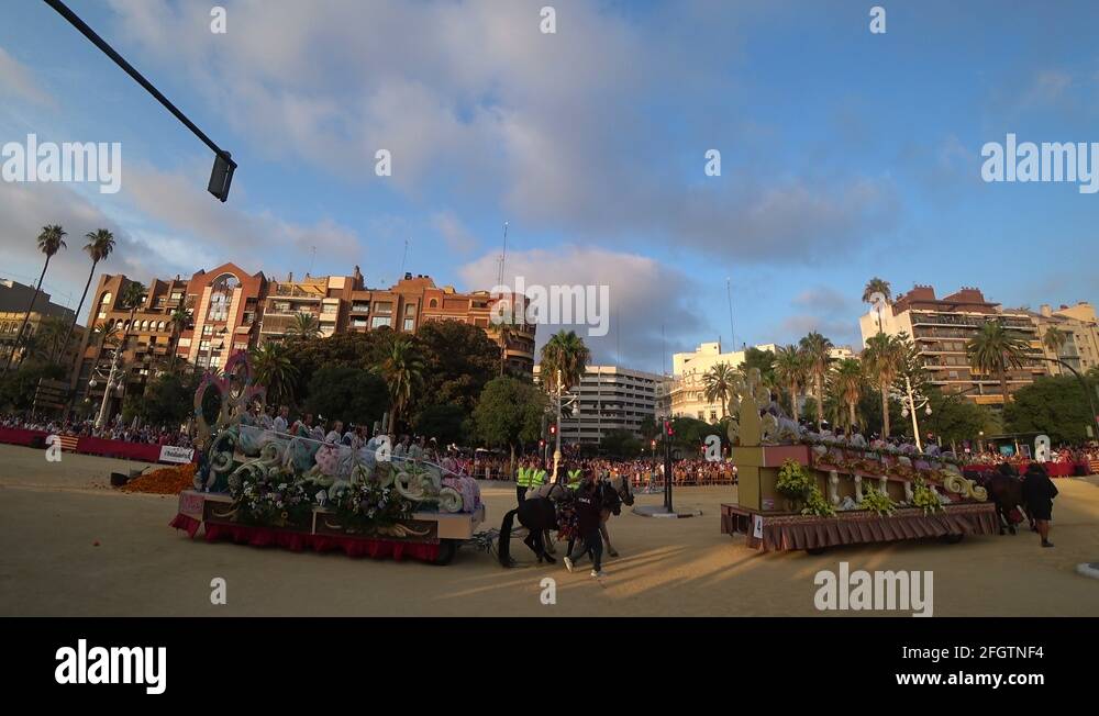 Flower battle valencia Stock Videos & Footage HD and 4K Video Clips