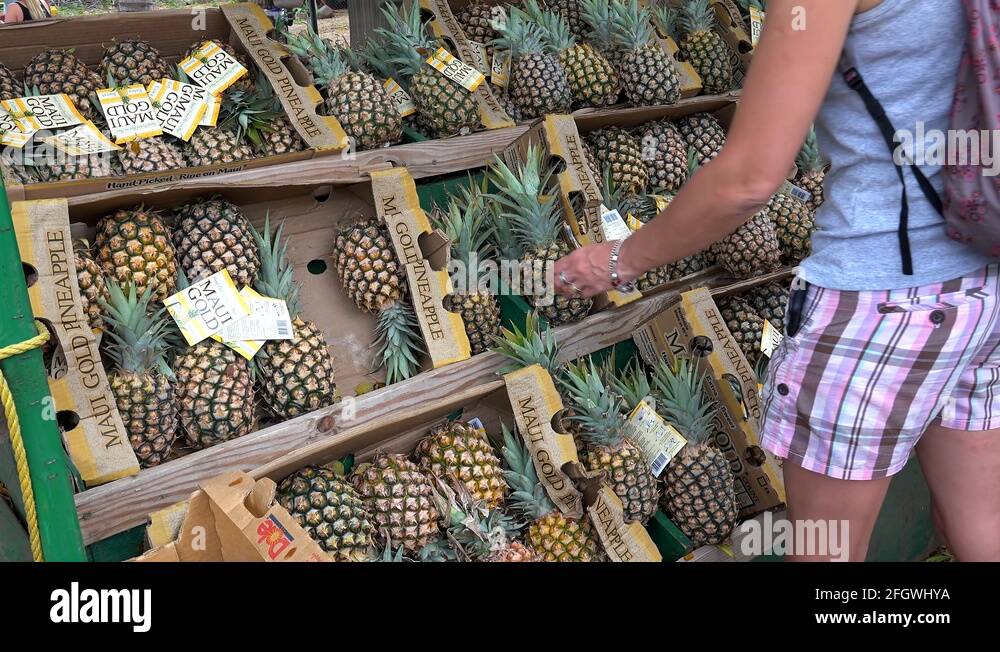 Maui pineapple farm Stock Videos & Footage HD and 4K Video Clips Alamy