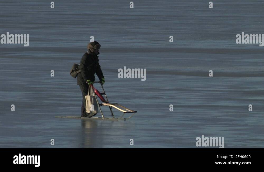 Kicking bird Stock Videos & Footage HD and 4K Video Clips Alamy