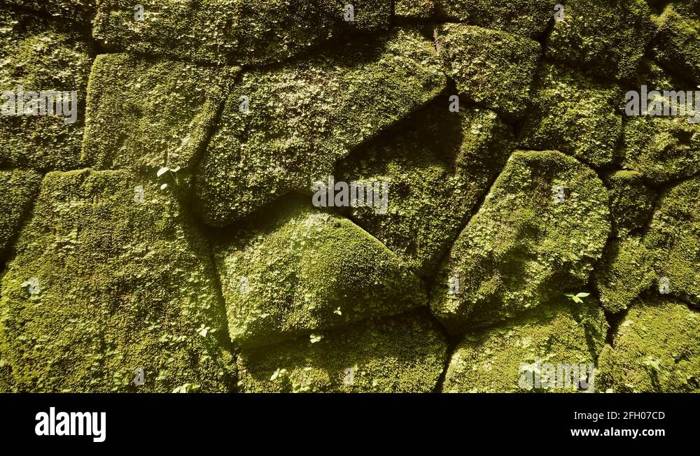 Temple stone texture Stock Videos & Footage - HD and 4K Video Clips - Alamy