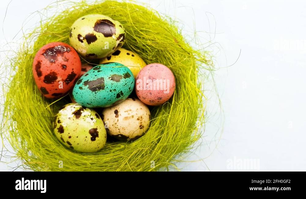 What color are quail eggs Stock Videos & Footage HD and 4K Video