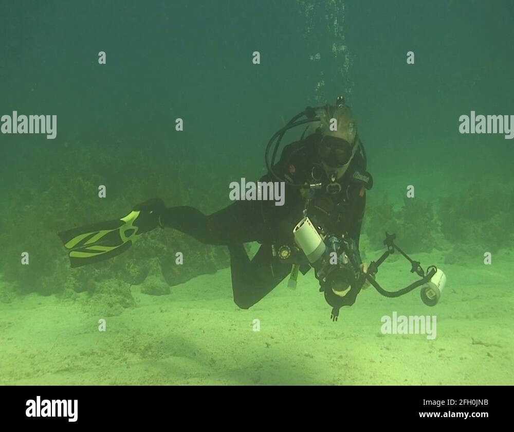 Underwater photographer Stock Videos & Footage HD and 4K Video Clips