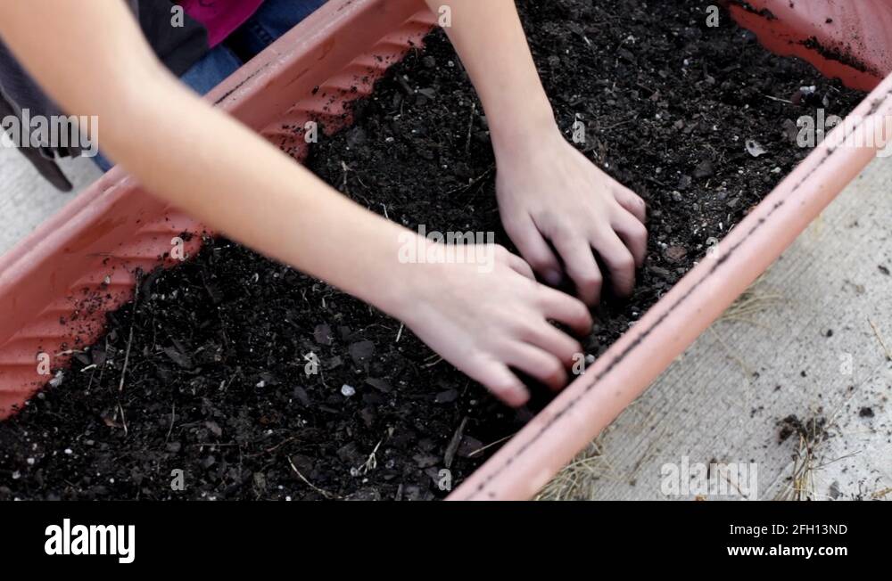 Digging the flower bed Stock Videos & Footage HD and 4K Video Clips