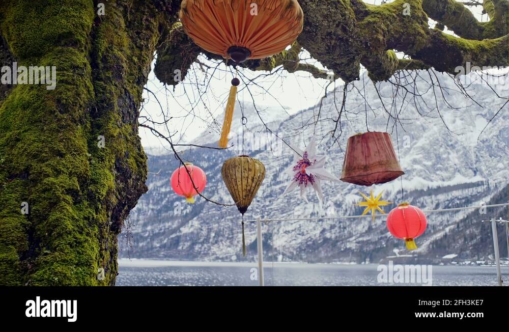 Chinese Lanterns Hanging from a Tree in Hallstatt Stock Video Footage ...