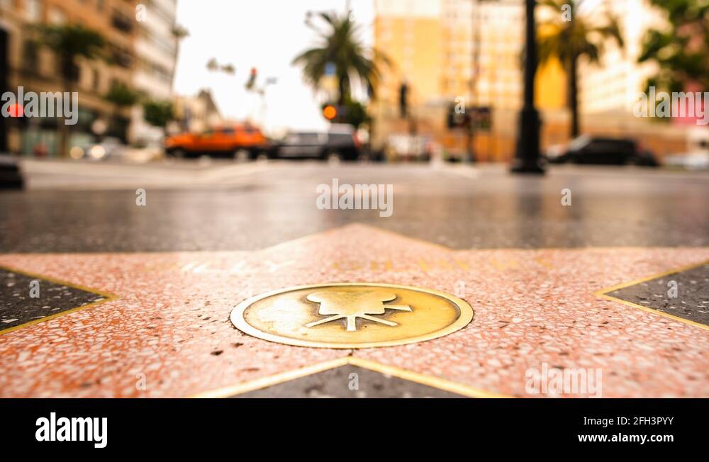 Hollywood star walk of fame wide Stock Videos & Footage - HD and 4K