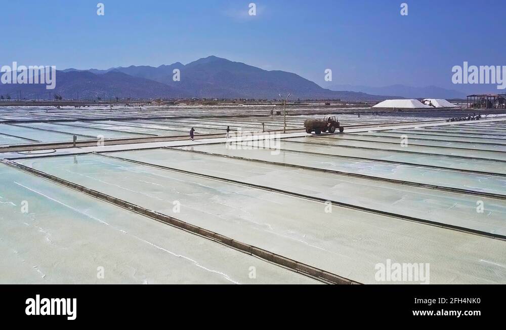 Huge Plantations Produce Salt Evaporating Seawater Stock Video Footage