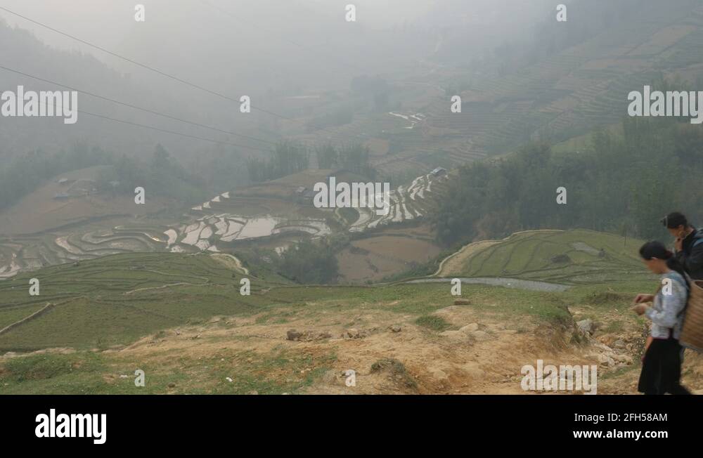 Girls with bamboo basket backpack walk through paddy fields,Sapa,Vietnam Stock Video Footage Alamy