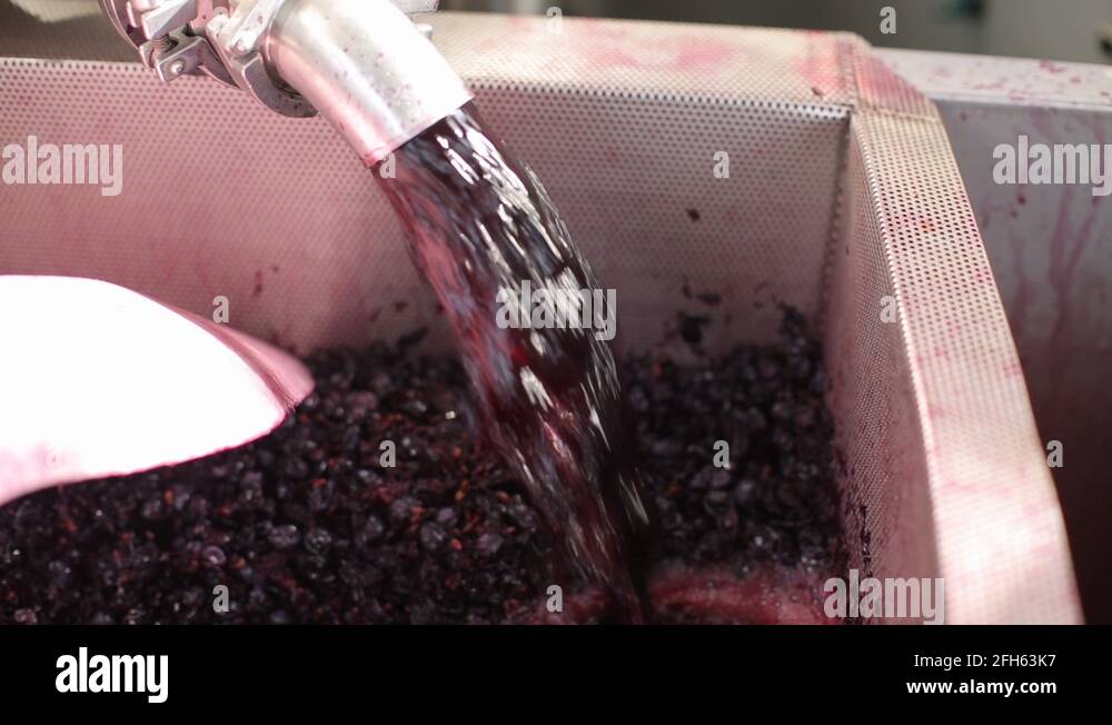From grapes Stock Videos & Footage HD and 4K Video Clips Alamy