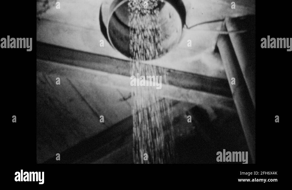 Lead pellets Stock Videos & Footage HD and 4K Video Clips Alamy