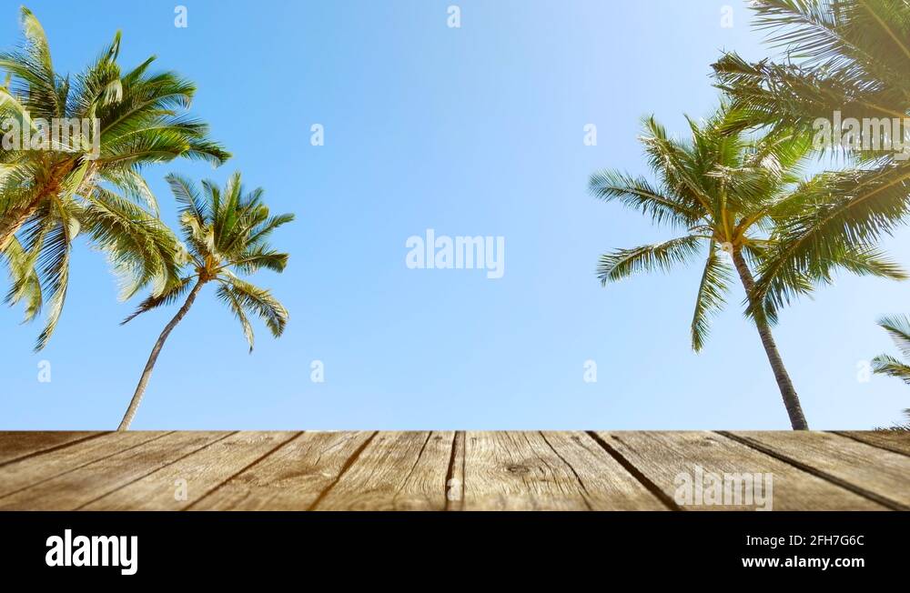 Beach Table Palm Tree Wooden Deck Background, Tropical Palm Tree Ocean